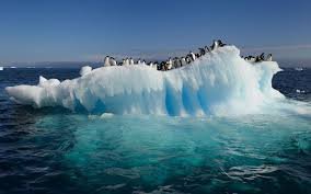 Антарктиданың мұзы жылдам еріп жатыр