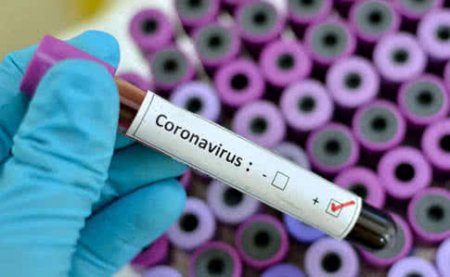 Коронавирус: Вирусты жұқтырған адам саны 251-ге жетті