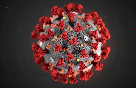 Сырдарияда коронавирус жұқтырғандар саны 78-ге жетті