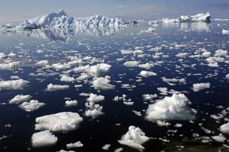 Арктикада жылынудың жаңа рекорды тіркелді