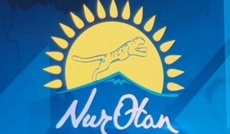 Nur Otan-ның сайлауалды бағдарламасына тексеріс жүргізіледі