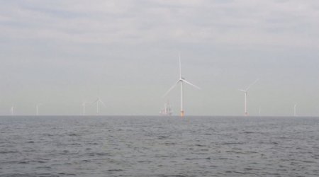 Нидерландта баламалы энергия көздерін дамытпақ