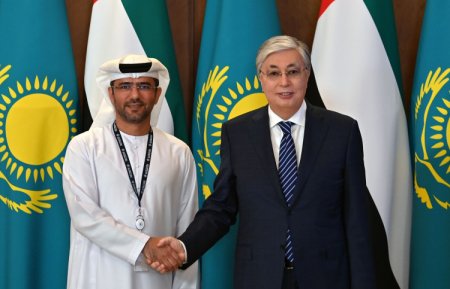 Президент Abu Dhabi Ports Group компаниясының бас директорымен кездесті