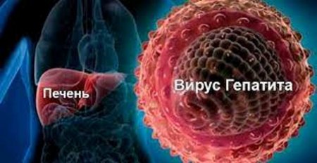 Вирусты гепатит туралы не білеміз?