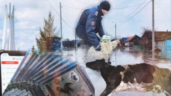 Су тасқыны.Шығындарды өтеу бойынша кәсіпкерлердің 82,1% өтінімі мақұлданды