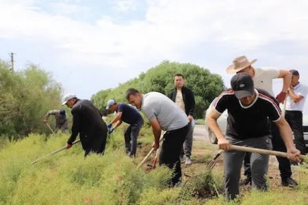 «Таза Қазақстан»: Қызылорда облысының күні аясында кезекті сенбілік өтті