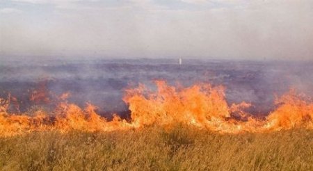 Шөп жинау және жем-шөп дайындау кезінде өрт қауіпсіздігі қағидасын сақтаңыздар!