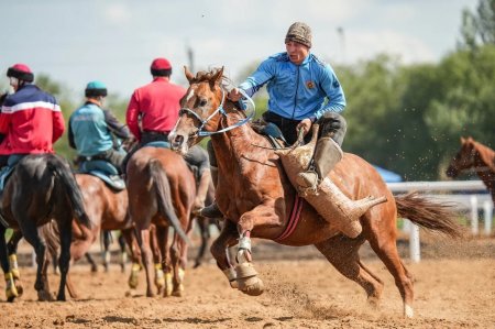 Көкпардан ұлттық құрама спортшылары көшпенділер ойындары өтетін алаңда алғашқы дайындықтарын өткізді