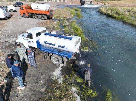 Балқаш көліне 250 мыңнан астам шабақ жіберілді