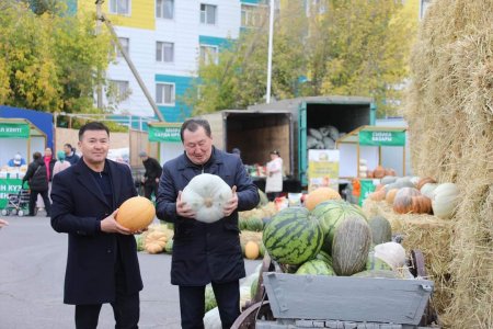 «Алтын күз-2024» ауыл шаруашылығы өнімдерінің жәрмеңкесі өтті