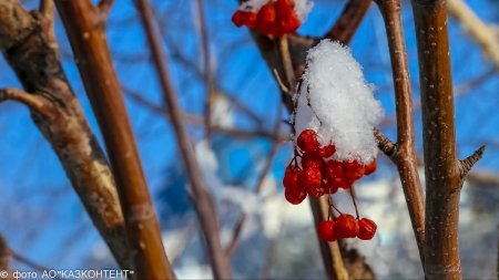 Алдағы күндері күн суытады