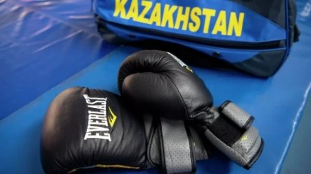 Қазақстан бокс федерациясы World Boxing құрамына кірді