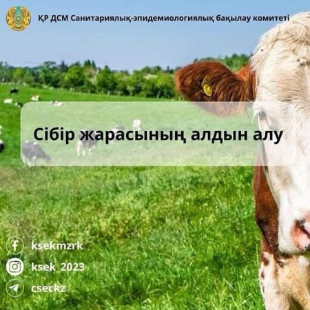 Сібір жарасының алдын алу