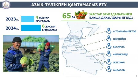 Азық-түлік қауіпсіздігін қамтамасыз ету мақсатында бақша дақылдары егілді