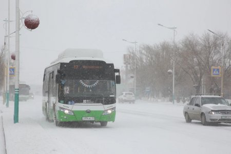 Ақпан тосын мінез танытпасын