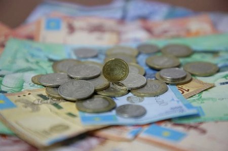 Қазақстандықтар қандай жеңілдіктер мен әлеуметтік төлемдер алады