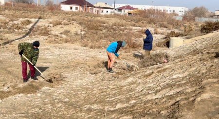 Таза бейсенбі: Сырдариялық аманаттықтар экологиялық акцияға үлес қосты