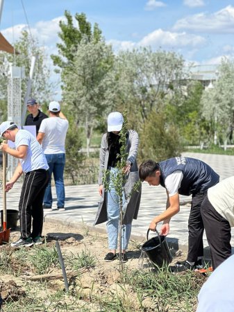 Қызылорда жастары «Таза Қазақстан» республикалық экологиялық акциясына өз үлестерін қосты
