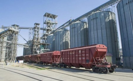 Жаңа астық экспорты 7,6 млн тоннаға жетті
