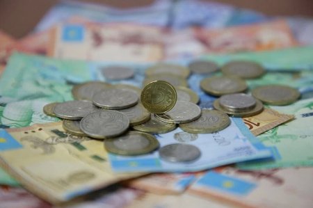 Қазақстандықтарға мемлекеттен 1,5 миллион теңге алу ұсынылды