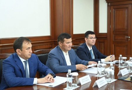 Аймақ басшысы дүниежүзілік денсаулық сақтау ұйымының Қазақстандағы сақтандыру кеңсесі басшысымен кездесті