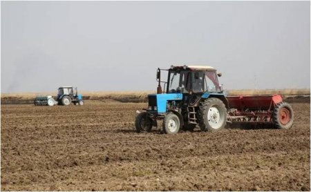 Елімізде 5,2 млн гектар жерге ауыл шаруашылығы дақылдары егілді