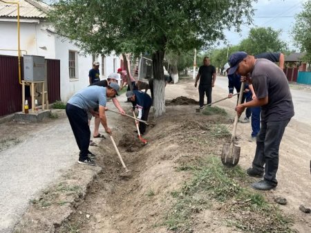 «Таза Қазақстан» көркейту-көгалдандыру шаралары жалғасуда