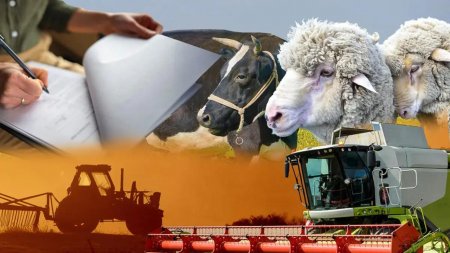Елімізде ауқымды санақ жүргізіледі