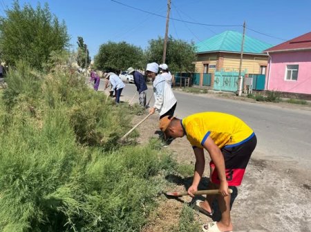 «Таза Қазақстан» экологиялық акциясы аясында сенбілік жұмыстары жүргізілді