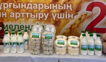 Қызылордалық кәсіпкердің ешкі сүтінен өндірген табиғи өнімдері жоғары сұранысқа ие