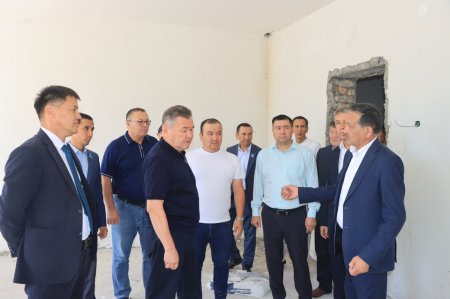Халық қалаулысы –  ел ішінде