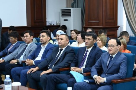 Бюджеттің игерілуі және әлеуметтік инфрақұрылым сапасы бақылауда