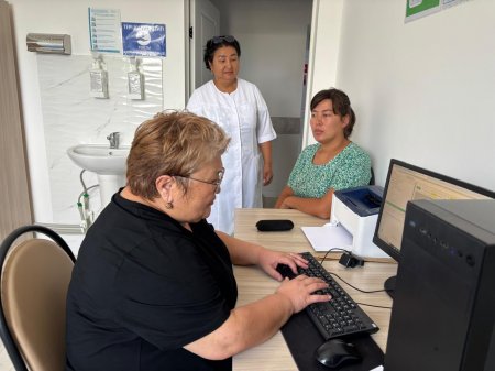 Білікті мамандар Нағи Ілиясов ауылында