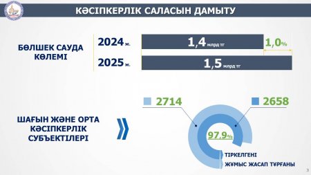 Мемлекет басшысы кәсіпкерлік саласын дамытуға нақты тапсырмалар жүктеді