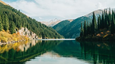 Араб елдері қызығушылық танытып отыр