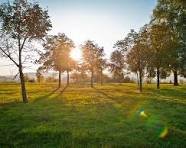 Үсік және тұман: күн райының бұзылуына орай бірқатар өңірде ескерту жарияланды