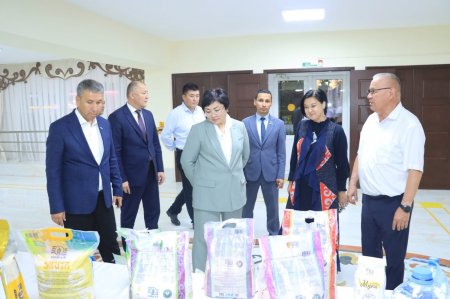 Партия хатшысы Шолпан Каринова Н.Ілиясов ауылының тыныс-тіршілігімен танысты