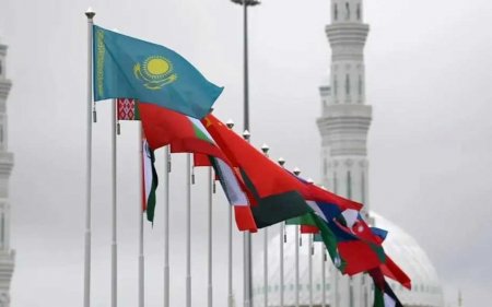 Президент Шанхай ынтымақтастық ұйымының Су мәселелерін зерттеу орталығын ашуды ұсынды