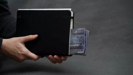 Қазақстанда жас ғалымдардың зерттеулерін қаржыландыру конкурсына өтінімдер қабылдау басталады