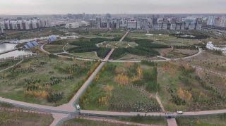 Мемлекет басшысы «Таза Қазақстан» экологиялық акциясына қатысты