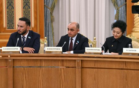 Мемлекет басшысы: «Бір палаталы Парламентке көшу халықаралық үрдіске толық сай келеді»