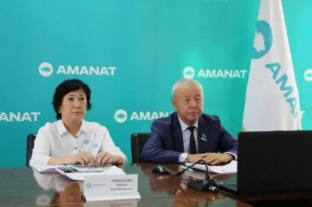 «AMANAT» партиясы жанындағы экологиялық кеңес отырысы өтті