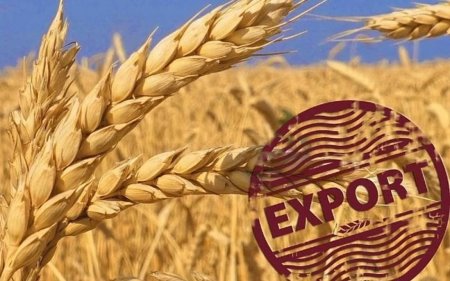 Қазақстан Түркия нарығына сиыр еті мен астық экспортын кеңейтпек