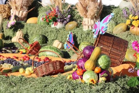 Аудан дихандарының берекелі жәрмеңкесі