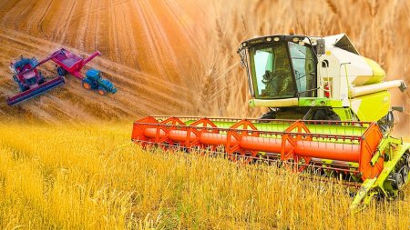 Елімізде егін жинау науқаны қалай жүріп жатыр   https://kaz.inform.kz/news/elmzde-egn-zhinau-naukani-kalay-zhurp-zhatir-fe4753/