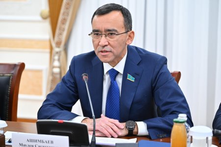 Сенат төрағасы Президенттің «жайлы мектеп» жобасының өңірлерді дамытудағы рөлі туралы пікір білдірді