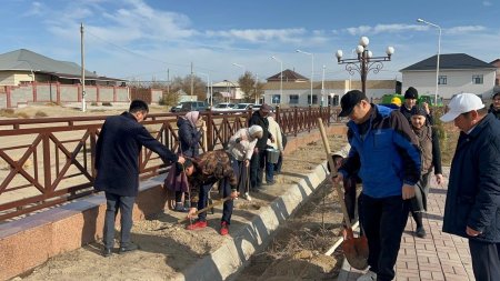 Шешен этномәдени бірлестігінің тал егу және қайырымдылық акциясы өтті