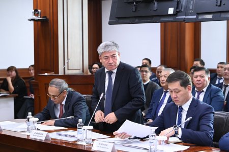 Үкімет отырысында талқыланған мәселелер бойынша тапсырмалар берілді