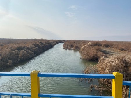 Тіршілікке жан бітірген «Жаңаарық»