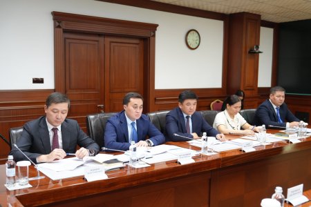 Әлеуметтік газ тек халыққа сатылуы тиіс